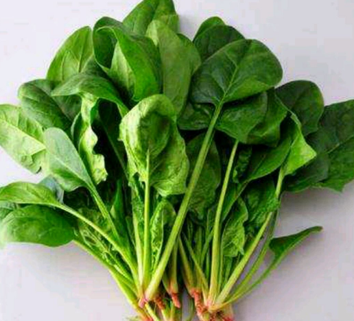 菠菜