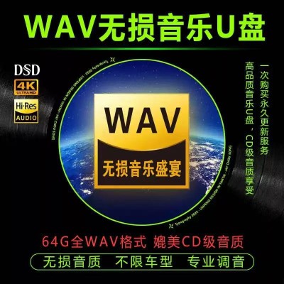 WAV无损音乐U盘2025发烧歌曲汽车车载听歌优盘64G黑胶车载神器