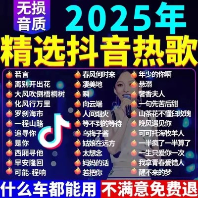 汽车载u盘歌曲2025流行经典音乐无损音质车用U优盘dj车载音乐U盘