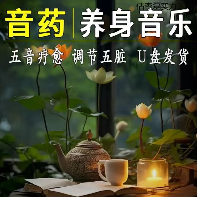 静心养身轻音乐U盘无损高音质国乐五音大师美容院茶室舒缓放松USB